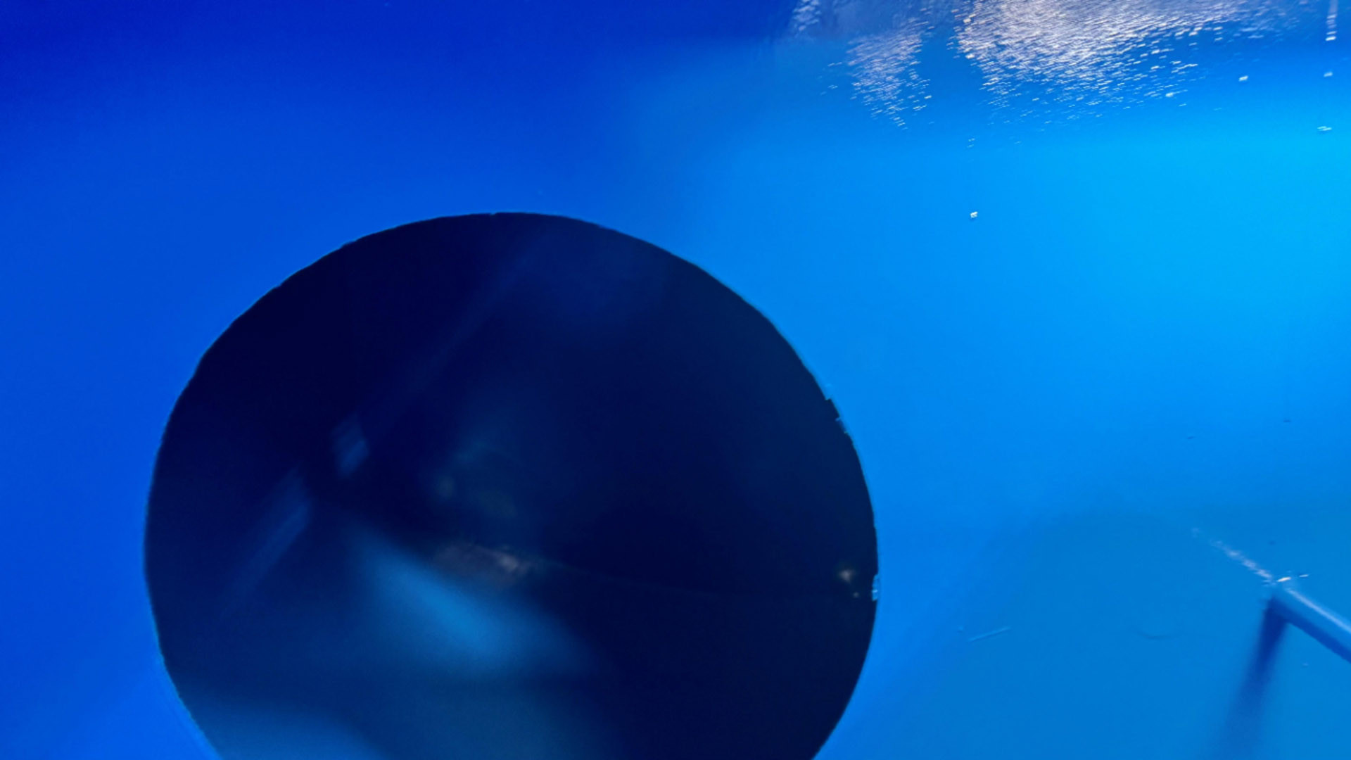 New & Used Build Gallery 31